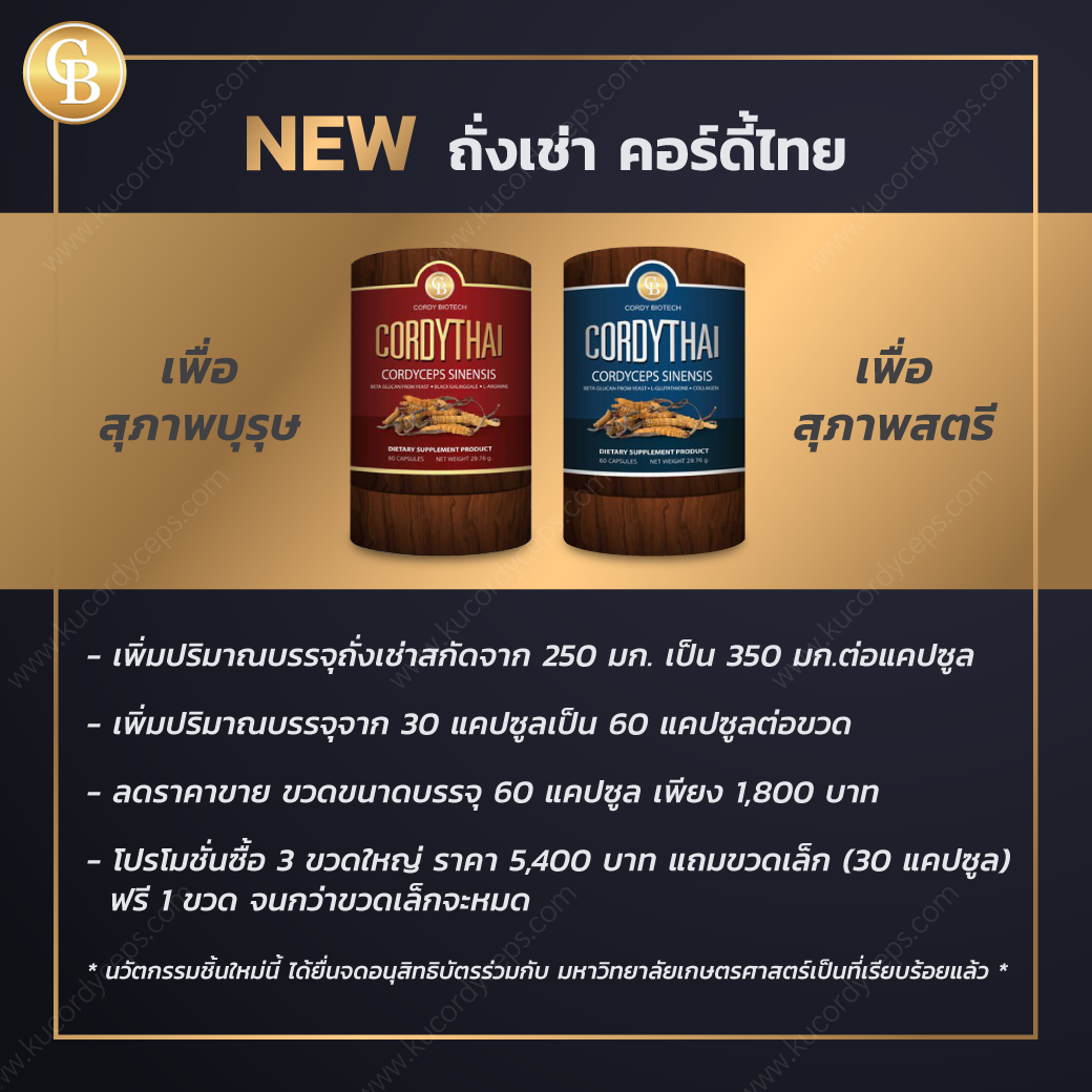 kucordyceps_3